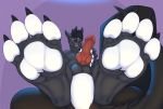  2018 3dinoz 4_toes 5_fingers animal_genitalia animal_penis anthro balls black_fur black_hair black_nose black_skin canine canine_penis claws digitigrade dragon erection eye_scar facial_scar feet fingerpads foot_focus fur hair hand_on_penis hybrid knot looking_at_viewer male mammal nude open_mouth pawpads paws penis presenting purple_background red_penis scar simple_background sitting smile solo teasing toes white_skin wolf yellow_eyes 