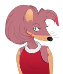  2018 amy_rose anthro clothed clothing cusith-baby digital_media_(artwork) female fur green_eyes hedgehog looking_at_viewer mammal pink_fur simple_background smile solo sonic_(series) video_games 
