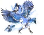  2018 ambiguous_gender avian bird black_eyes black_feathers black_fur black_hair blue_feathers blue_fur blue_hair blue_jay blue_theme corvid duo equine feathered_wings feathers feral fur hair heather_bruton male mammal multicolored_hair pegasus white_feathers white_fur white_hair wings 