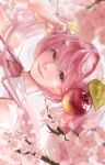  1girl aegyo_sal bare_shoulders blush cherry_blossoms cherry_hair_ornament closed_mouth commentary_request flower food-themed_hair_ornament hair_between_eyes hair_ornament hatsune_miku highres light_smile long_hair looking_at_viewer mimitanu25 necktie official_alternate_costume petals pink_eyes pink_flower pink_hair pink_necktie pink_petals pink_trim portrait sakura_miku shirt sleeveless sleeveless_shirt solo sparkling_eyes twintails very_long_hair vocaloid white_shirt 