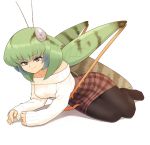  antennae bangs bare_shoulders breasts bug casual commentary evolvingmonkey eyebrows_visible_through_hair fingernails full_body grasshopper grasshopper_inoue green_hair grey_eyes highres insect insect_girl legs_together light_smile long_sleeves looking_at_viewer lying medium_breasts medium_hair multicolored_hair no_shoes on_side original pantyhose plaid plaid_skirt ribbed_sweater simple_background skirt sleeves_past_wrists solo sweater two-tone_hair white_background 