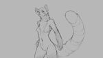  2018 absurd_res anthro breasts chest_tuft digital_drawing_(artwork) digital_media_(artwork) female greyscale hi_res mammal monochrome navel nipples nude pussy red_panda sketch smile solo standing thick_thighs tuft watsup 