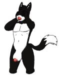  anthro boobface breasts canine covering_face dipstick_tail faceless fox intersex invalid_tag mammal multicolored_tail nipples portrait sigma-x simple_background solo teats three-quarter_portrait what white_background 
