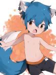  2018 animal_humanoid blue_fur blue_hair child clothed clothing dipstick_tail ear_piercing fangs fox_humanoid fur hair humanoid inner_ear_fluff male multicolored_tail navel nipples piercing shorts solo thebrushking topless young 