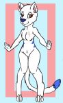  anthro blue_fur brown_eyes dipstick_tail female fur hybrid mammal medley_chimera mink minkshake multicolored_tail mustelid solo watermark weasel white_fur 