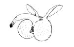  anus butt_focus buttface disembodied_butt invalid_tag kangaroo mammal marsupial monochrome open_mouth postalroo simple_background solo what 