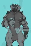  anthro balls cat erection feline incineroar male mammal nintendo nipple_piercing nipples nude penis piercing pok&eacute;mon pok&eacute;mon_(species) simple_background ursso_(artist) video_games 