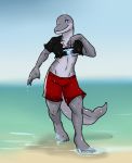  aggrobadger beach cetacean clothing collar dolphin female grey_skin male mammal marine pose possession seaside smile solo torn_clothing water 