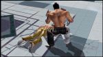  animated kazama_jin nina_williams tagme tekken 