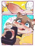 absurd_res anthro balls bighornsheep_(artist) blue_eyes blush brown_body brown_fur canid canine comic digit_ring erection fur genitals hi_res jewelry male mammal marriage_proposal measuring measuring_penis penis raccoon_dog ring solo tanuki tape_measure wedding_ring