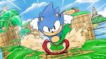  16:9 2018 5_fingers action_lines anthro black_nose blue_hair detailed_background digital_drawing_(artwork) digital_media_(artwork) hair hedgehog hi_res joaoppereiraus looking_at_viewer mammal mountain palm_tree running running_towards_viewer sky smile solo sonic_(series) sonic_the_hedgehog tree white_gloves 