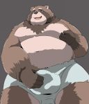  00murice 2018 anthro bulge canine clothing humanoid_hands male mammal overweight overweight_male simple_background solo tanuki underwear 