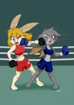  2018 3_toes anthro athletic bianca_flauer black_eye blonde_hair blood blue_eyes boxing boxing_gloves bra bruised clothing disney duo eyebrows eyelashes female female/female fight fighting_ring fur grey_fur hair hi_res judy_hopps lagomorph long_ears mammal midriff mouth_guard navel ouch punch punching purple_eyes rabbit shorts signature sport sports_bra sweat toes underwear violence wendel_fragoso white_fur zootopia 