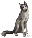 2018 alpha_channel aurru black_nose blue_eyes canine digital_media_(artwork) dog feral fur male mammal paws simple_background solo transparent_background white_fur 