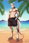 2:3 alien alien_humanoid animal_humanoid anthro athletic beach blue_body blue_scales clothing hi_res humanoid imlouisa intersex_(lore) kesper male markings mediterranean reptile reptile_humanoid rin_(orion's_rejects) scales scalie scalie_humanoid shirtless shirtless_anthro shirtless_male solo spots spotted_markings swimming_trunks swimwear teal_body teal_eyes teal_scales tropical white_body white_scales