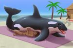 anatomically_correct anatomically_correct_genitalia anatomically_correct_vulva animal_genitalia animal_vulva aquatic beach bestiality black_body black_skin brown_hair cetacean cetacean_genitalia cetacean_vulva clenched_teeth day digital_media_(artwork) digitoxici dolphin dominant dominant_female dorsal_fin duo eyelashes eyes_closed female female_feral female_on_human female_on_top female_penetrated feral feral_penetrated fin flippers flukes from_front_position genitals green_eyes hair hi_res human human_on_feral human_penetrating human_penetrating_female human_penetrating_feral interspecies larger_female larger_feral larger_penetrated looking_back lying male male/female male_human male_on_bottom male_on_feral male_penetrating male_penetrating_female male_penetrating_feral mammal nude oceanic_dolphin on_back on_bottom on_top orca outside outside_sex palm_tree penetration penile penile_penetration penis_in_vagina plant reverse_missionary_position sand seaside sex sex_on_the_beach size_difference smaller_human smaller_male smile smothering tan_body tan_skin teeth tongue tongue_out toothed_whale tree vaginal vaginal_penetration vulva water wet white_body