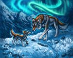  2018 ambiguous_gender aurora_borealis black_fur brown_eyes brown_fur canine cheek_tuft claws detailed_background digital_media_(artwork) duo female feral flashw fur grey_fur mammal mountain night outside paws sky snow standing toe_claws tuft whiskers wolf young 