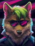  2018 anthro black_nose canine clothing dragov eyewear fur goldendruid green_hair hair headshot_portrait inner_ear_fluff looking_at_viewer male mammal portrait solo sunglasses whiskers wolf 
