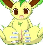  anatomy eeveelution female japanese_text leafeon maple_syrup nintendo pok&#233;mon pokemon pussy solo tack text translated video_games 