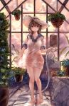  backlighting bangs bare_legs barefoot black_hair blue_flower blue_neckwear blue_sailor_collar blush bow bowtie breasts brown_eyes closed_mouth cloud cloudy_sky collarbone commentary_request dress eyebrows_visible_through_hair flower full_body greenhouse hair_between_eyes hanging_plant hat highres hmw_(pixiv7054584) holding hose indoors long_hair looking_at_viewer orange_sky original plant potted_plant red_flower sailor_collar sailor_dress see-through shirt_tug short_sleeves sidelocks sign sky small_breasts smile solo standing straw_hat twilight water water_drop wet wet_clothes window 