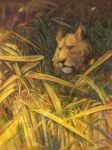  2012 brown_fur brown_nose day detailed_background digital_media_(artwork) feline feral fur grass kur0i kuroi-kisin lion mammal outside solo 