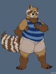  anthro clothed clothing dbd fur looking_at_viewer male mammal overweight overweight_male procyonid raccoon shirt simple_background smile solo standing tank_top whiskers 