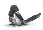  2016 avian beak bird black_beak digital_media_(artwork) feathered_wings feathers feral hybrid kur0i kuroi-kisin mammal rat rodent simple_background solo white_background wings 
