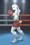  2016 aki_de-volfs.ar anthro athletic barefoot boxing boxing_gloves clothed clothing female fighting_pose fighting_ring fur hair inner_ear_fluff lagomorph leg_wraps long_ears mammal melly_kinderson pink_nose rabbit red_eyes shorts solo sport topless white_ears white_fur white_hair white_tail wraps 