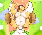  anal anal_penetration anthro balls belly big_belly big_penis clothing dominant_pov duo erection first_person_view footwear humanoid_penis internal koopa male male/male male_pov mario_bros nintendo penetration penis rookitanuki scalie sex shoes video_games yoshi 