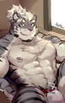  2018 abs anthro body_hair bulge chest_hair clothed clothing cute_fangs digital_media_(artwork) ear_piercing facial_hair facial_scar feline hair looking_at_viewer lveink male mammal muscular muscular_male nipple_piercing nipples open_mouth pecs piercing scar smile solo tiger white_hair yellow_eyes 