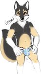  anthro bastion black_fur brown_fur bulge canine clothing dog fur male mammal navel solo underwear white_fur 