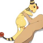  ampharos bestiality blush cum cum_in_pussy cum_inside duo female feral hi_res human human_on_feral interspecies male male/female mammal nintendo open_mouth penetration penis pok&eacute;mon pok&eacute;mon_(species) pok&eacute;philia pussy sex simple_background vaginal vaginal_penetration video_games white_background youjomodoki 