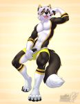  2018 anthro bulge canine claws clothing looking_at_viewer male mammal penis ring solo sylen teasing toe_ring underwear vallhund wolf 