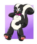  2018 3_toes animate_inanimate anthro black_eyes collar digital_drawing_(artwork) digital_media_(artwork) facial_piercing featureless_crotch hi_res hindpaw inflatable living_inflatable male mammal mephitid myoti nose_piercing nose_ring pawpads paws piercing pink_nose rubber shiny simple_background skunk solo tagskunk toes 
