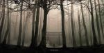  commentary_request dark fog forest izna_(iznatic) nature original outdoors scenery short_hair solo standing torii translation_request 