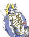  abs alex168wang anal anal_fingering assisted_masturbation balls bdsm bed bound canine collar cum disembodied_hand ear_piercing fenrir_(housamo) fingering lying male mammal mohawk muscular muscular_male nipples on_back pecs piercing rope rope_bondage rope_harness tattoo tokyo_afterschool_summoners wolf 