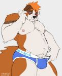 2018 anthro blush briefs bulge canine clothed clothing dhanisani digital_media_(artwork) dog erection fur hair hi_res male mammal muscular muscular_male navel nipples partially_clothed shy simple_background solo underwear 