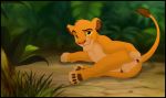  animal_genitalia animal_penis anus balls cub disney feline feral fur hi_res kaion lion looking_at_viewer male mammal penis simba solo the_lion_king young 