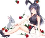  animal_ears bad_id bad_pixiv_id black_footwear black_hair black_skirt bunny bunny_ears bunny_girl flower full_body hair_ornament hairclip high_heels hiro9779 long_hair looking_at_viewer pencil_skirt purple_eyes rose sakurajima_mai seishun_buta_yarou simple_background sitting skirt solo tank_top white_background 