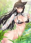  alternate_costume animal_ears ass atago_(azur_lane) azur_lane bad_id bad_pixiv_id bad_proportions bangs black_hair bottomless breasts cleavage commentary_request ero_waifu eyebrows_visible_through_hair from_side greenhouse hair_between_eyes hair_ribbon long_hair looking_at_viewer mole mole_under_eye plant race_queen rainbow ribbon solo swimsuit toned twisted_torso water_drop wet wet_clothes wolf_ears wrist_cuffs yellow_eyes 