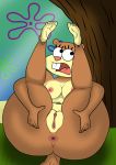  2018 a-fitzga anthro anus big_breasts breasts brown_fur buckteeth butt detailed_background digital_media_(artwork) female fur hi_res mammal nickelodeon nipples nude open_mouth presenting presenting_hindquarters pussy rodent sandy_cheeks solo spongebob_squarepants squirrel teeth tongue 