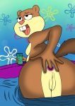  2018 a-fitzga anal anal_fingering anal_masturbation anthro anus breasts brown_fur buckteeth digital_media_(artwork) female fingering fingering_self fur hi_res looking_pleasured mammal masturbation nickelodeon nude open_mouth outside presenting pussy rodent sandy_cheeks solo spongebob_squarepants squirrel swimming_pool teeth tongue water 