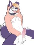  2018 amber_eyes anthro balls biped blonde_hair blue_fur border_collie canine clothing collar collie dean_(drako1997) digital_media_(artwork) dog drako1997 erection fluffy fluffy_tail fur hair hoodie humanoid_penis looking_at_viewer male mammal meme multicolored_fur nipples open_mouth penis precum simple_background sitting smile spread_legs spreading sweater tongue tongue_out twitter_hoodie white_fur yellow_eyes 
