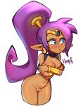  annoyed blue_eyes breasts covering covering_breasts dark_skin ear_piercing female genie hair humanoid long_hair not_furry nude piercing pointy_ears ponytail purple_hair pussy shantae shantae_(series) simple_background smokyholes solo video_games 