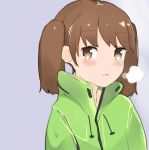  :3 absurdres bangs breath brown_eyes brown_hair closed_mouth co_botan coat cold commentary_request drawstring green_coat high_collar highres kantai_collection lavender_background light_blush long_sleeves looking_at_viewer medium_hair outdoors ryuujou_(kantai_collection) short_twintails simple_background sketch sketch_eyebrows slit_pupils solo twintails upper_body visible_air winter winter_clothes winter_coat 