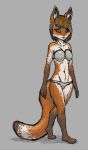  2019 anthro breasts canid canine clothed clothing digital_media_(artwork) female fox fur greycore hair hi_res invalid_tag looking_at_viewer mammal medium_hair multicolored_fur panties simple_background solo standing underwear walking white_fur 