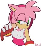  alpha_channel amy_rose anthro balls clothing disembodied_penis duo echidna erection eulipotyphlan eyelashes female female_focus fur gloves green_eyes hairband half-closed_eyes handjob hedgehog knuckles_the_echidna male male/female mammal monotreme penis pink_fur senshion sex shirt simple_background solo_focus sonic_(series) sweat tank_top transparent_background 