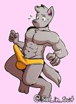  abs anthro blush clothing digital_media_(artwork) domestic_dog erection fur invalid_tag male mammal muscular pecs simple_background solo soot_in_suit sweat underwear zatch_(character) 