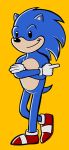  button_eyes eulipotyphlan hedgehog invalid_tag mammal mapdark roomy simple_background sketch sonic_(series) sonic_the_hedgehog video_games 