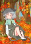  1girl absurdres against_tree ahoge animal_ears ankle_socks aqua_capelet ashino_chimado autumn autumn_leaves black_footwear black_skirt black_vest blue_sky blush day ears_down feet_together forest ginkgo_leaf hair_between_eyes hand_on_ground head_tilt highres knees_up leaf long_sleeves maple_leaf mary_janes mouse_ears mouse_tail mushroom nature nazrin open_mouth outdoors panties pantyshot pantyshot_(sitting) shirt shoes sitting skirt sky sleeping solo striped striped_panties tail touhou tree under_tree underwear upper_teeth vest white_legwear white_shirt 